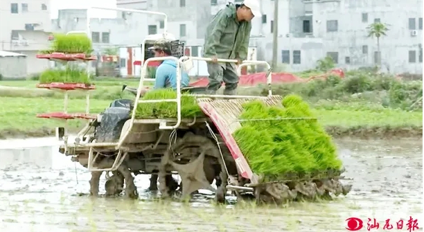 微信截圖_20240530111107 微信截圖_20240530111107