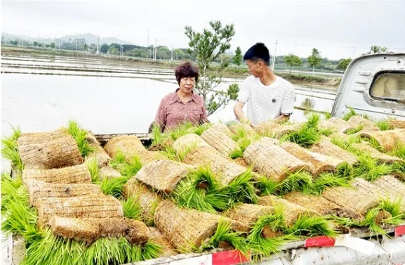 微信截圖_20240530111116 微信截圖_20240530111116