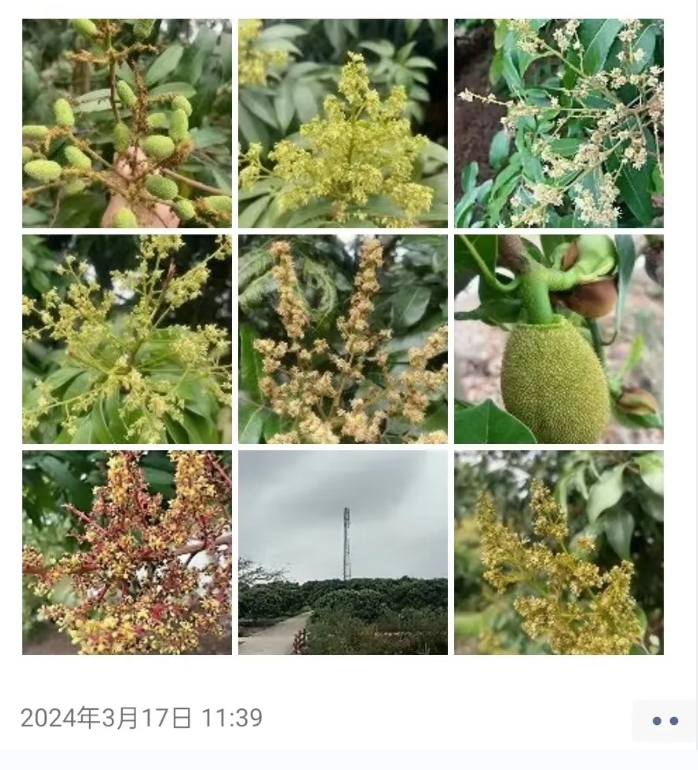 微信截圖_20240517175602 微信截圖_20240517175602