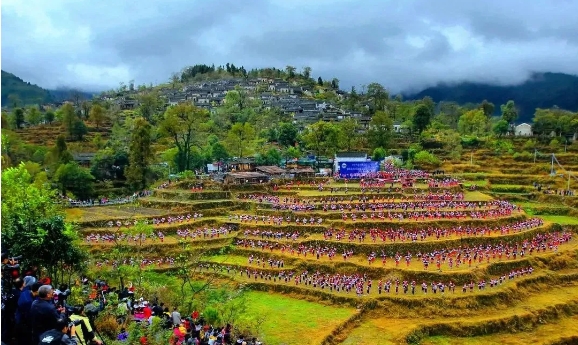 微信截圖_20240914110347 微信截圖_20240914110347