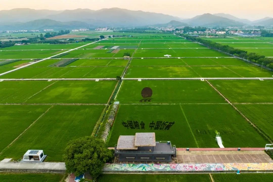 微信圖片_20250819140822