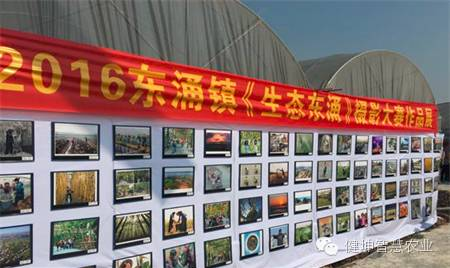 智慧農業 精準農業